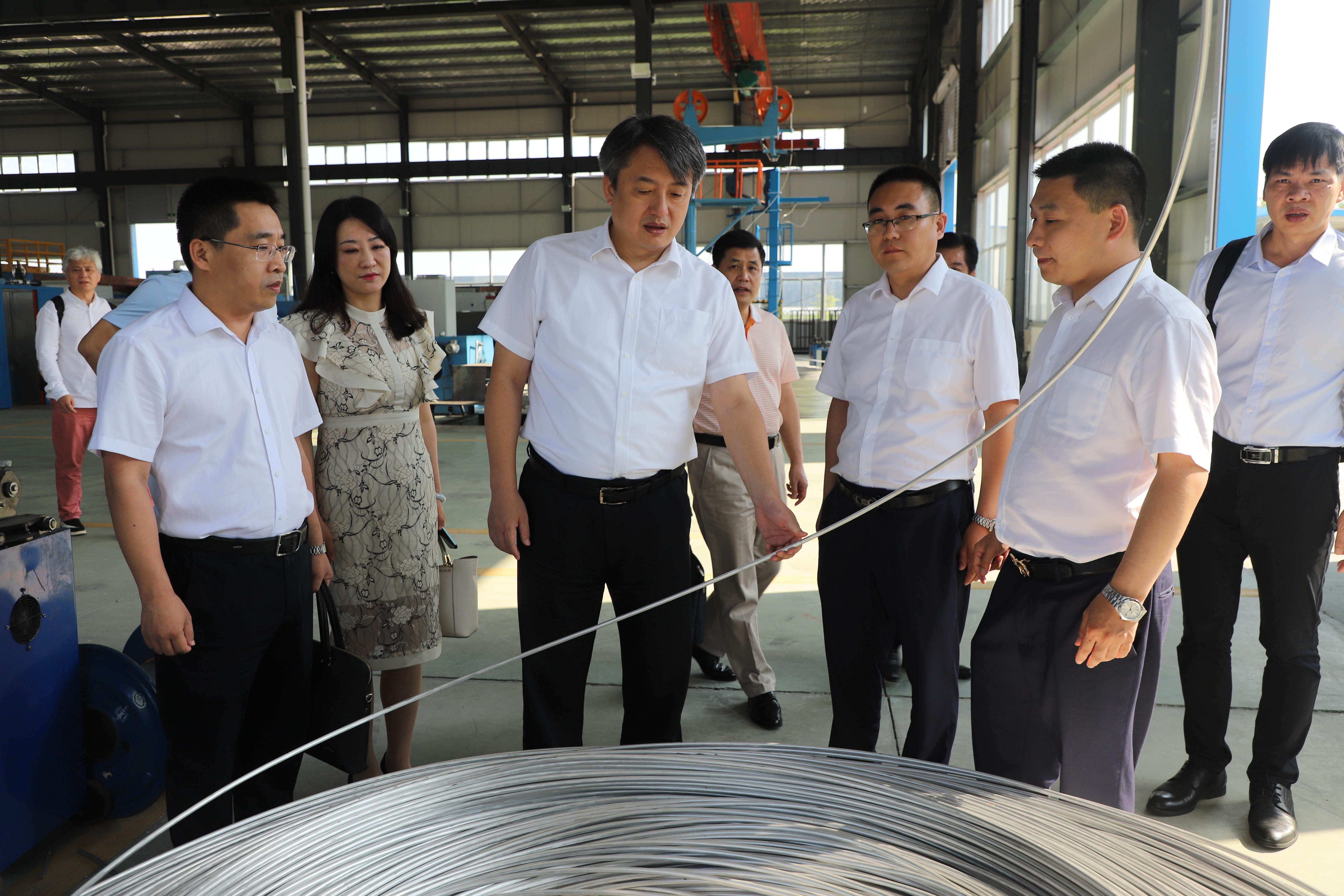 河池市政府王軍市長一行來公司考察調研